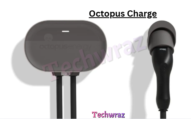 Octopus Energy releases home EV charger
